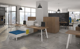 Office 5